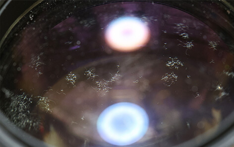 カビがある