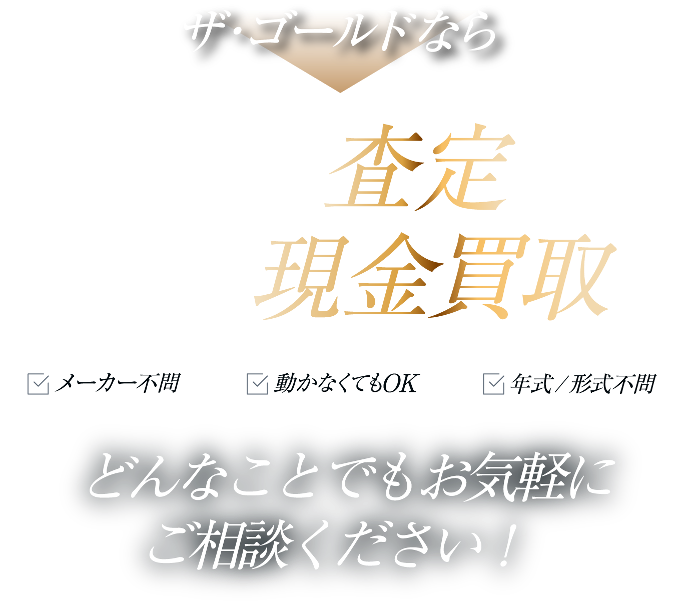 ザ・ゴールドのカメラ鑑定士