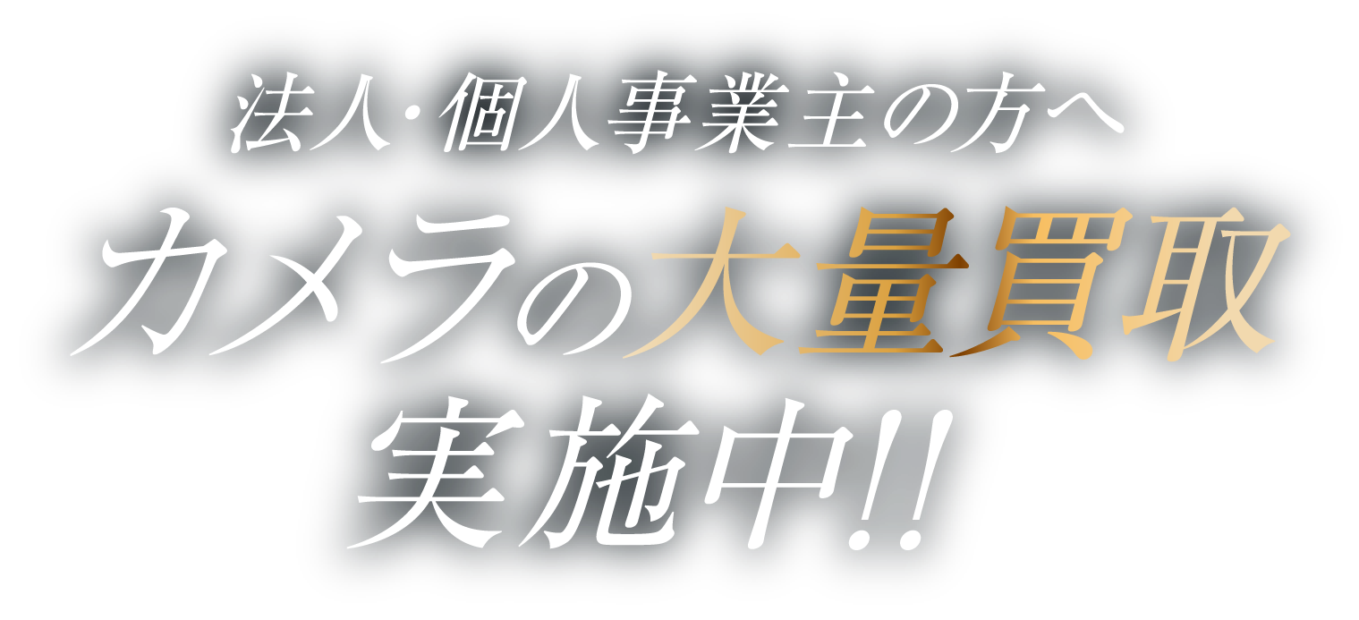 ザ・ゴールドのカメラ鑑定士
