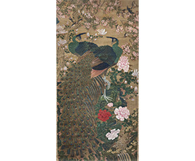 沈南蘋 花鳥孔雀図