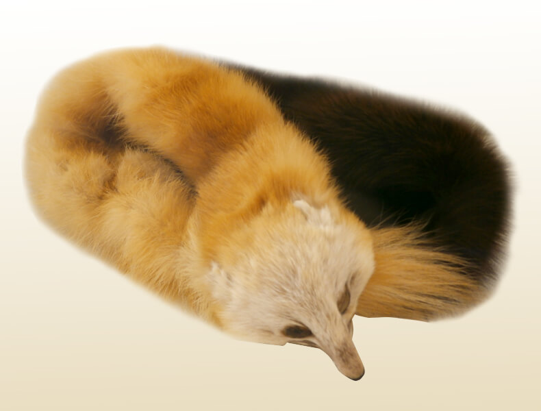 顔つきのファーマフラー