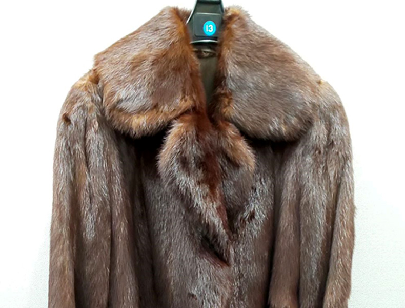 数十年前の毛皮