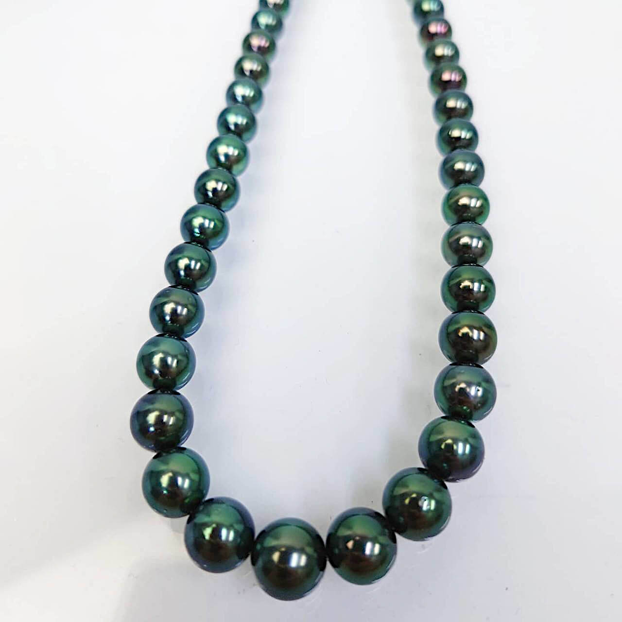 人気・希少性のある真珠