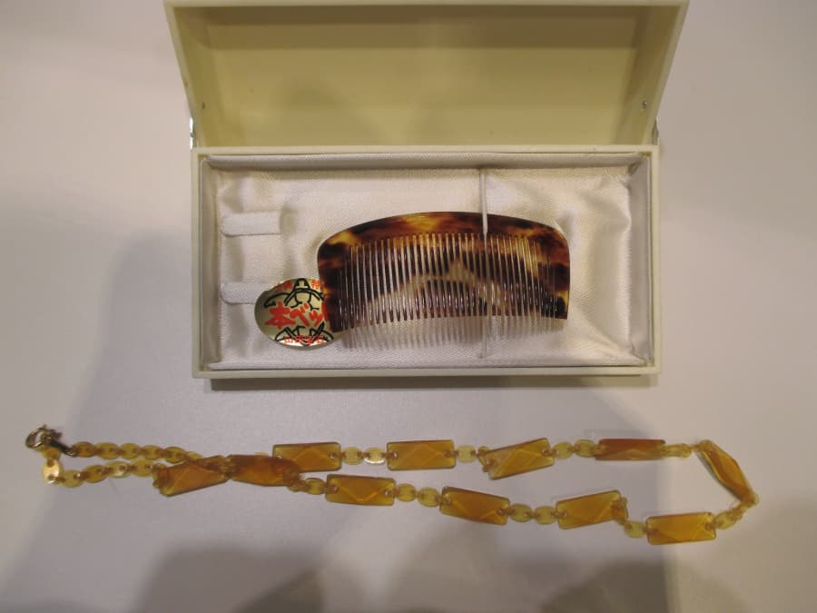 鼈甲のお品物【徳島田宮店】 徳島県徳島市にあるザ・ゴールド 徳島田宮店（※徳島安宅店に移転いたしました）の画像1