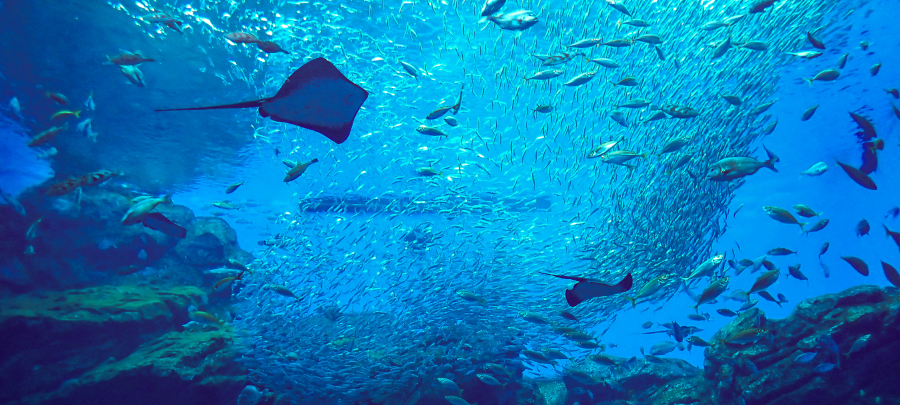 本日オープン3日目!【ザ・ゴールド平谷川瀬店】 福島県いわき市にあるザ・ゴールド 平谷川瀬店の画像5