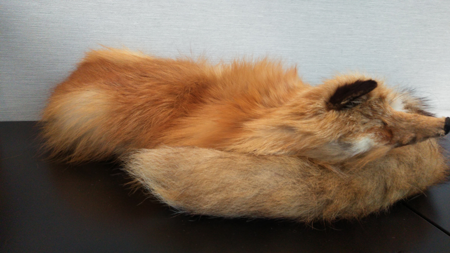 毛皮の買取実績【西条店/愛媛県/西条市】
