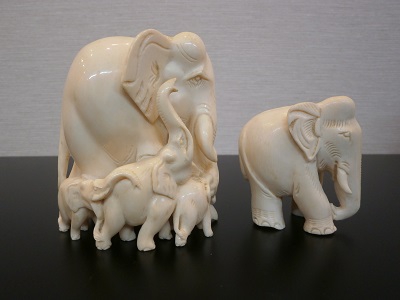 象牙　【西条店】 愛媛県西条市にあるザ・ゴールド 西条店の画像1