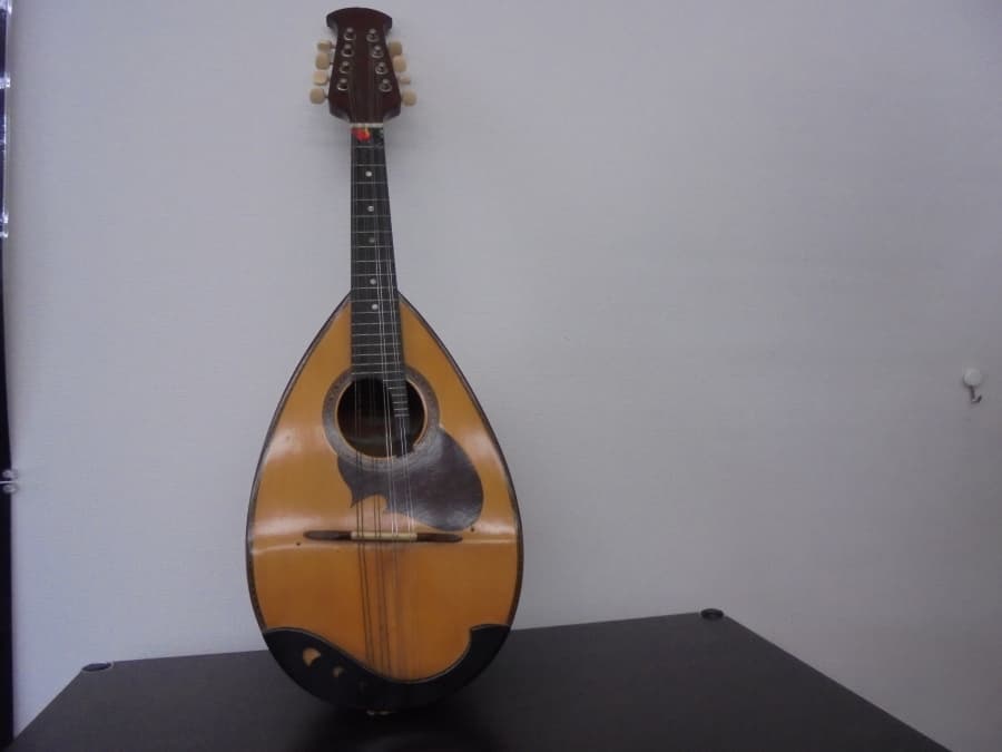 マンドリン【四国中央店】 愛媛県四国中央市にあるザ・ゴールド 四国中央店の画像1