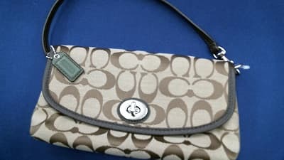 ポーチ【丸亀店】 香川県丸亀市にあるザ・ゴールド 丸亀店の画像1