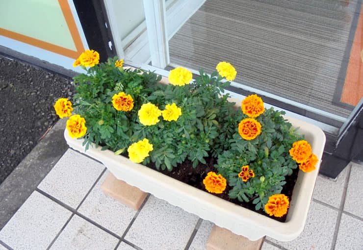 ザ・ゴールド 136号三島店の写真3