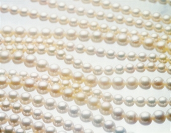 6月の誕生石、真珠ができるまで＜136号三島店＞