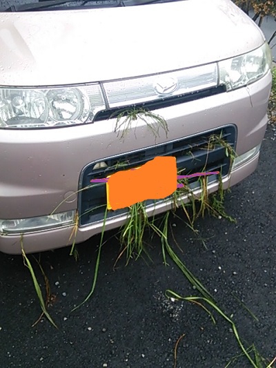 草を食べた私の車　【諏訪店】 長野県諏訪市にあるザ・ゴールド 諏訪店の画像2