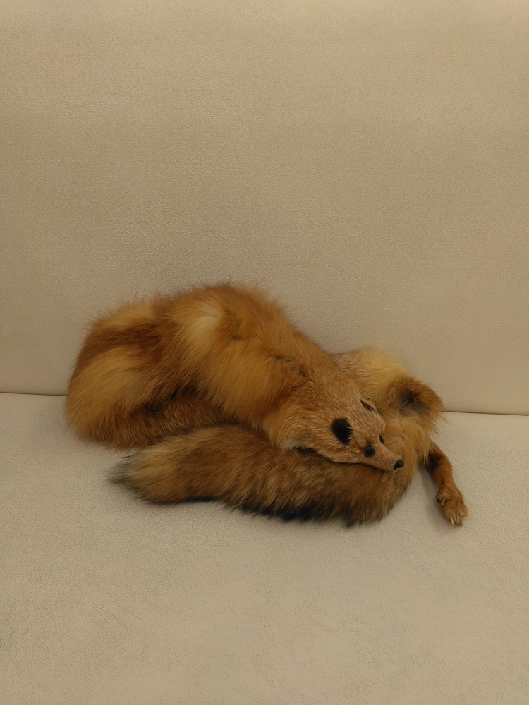 毛皮マフラーの買取実績【諏訪店/長野県/富士見町】 長野県諏訪市にあるザ・ゴールド 諏訪店の画像1