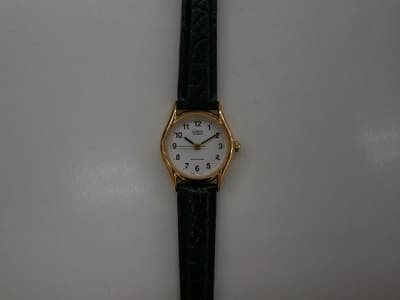 CASIO【伊那店】 長野県伊那市にあるザ・ゴールド 伊那店の画像1