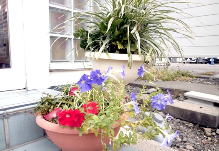 ザ・ゴールド 南松本店の写真3