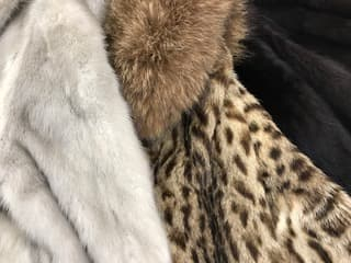 毛皮　買取実績【南松本店/長野県/松本市】