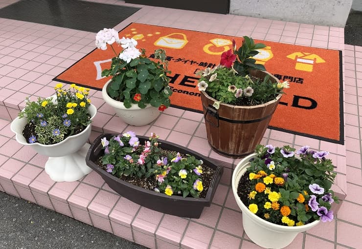 ザ・ゴールド 佐久平店の写真3