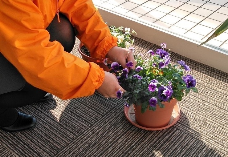 ザ・ゴールド 上木戸店