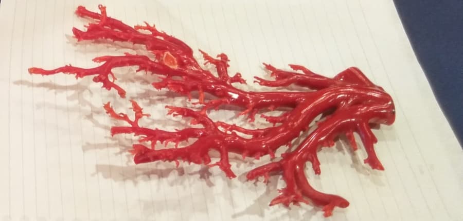 赤珊瑚の枝の買取実績【新発田店/新潟県/新発田市】 新潟県新発田市にあるザ・ゴールド 新発田店（※12/8に新発田イオンモール前店に移転いたしました） の画像1