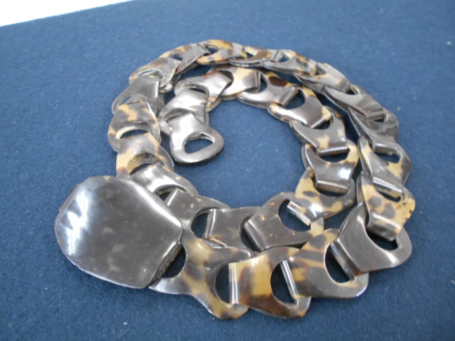 鼈甲ベルト【新潟中央店】 新潟県新潟市にあるザ・ゴールド 新潟中央店（※新潟上近江店に移転いたしました）の画像1