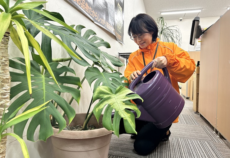 ザ・ゴールド 新潟西店