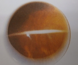 光の屈折　天然石　　新潟西店