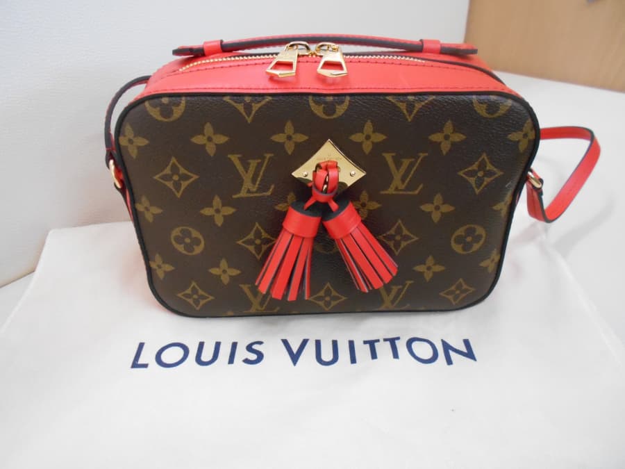 ルイ・ヴィトン　サントンジュバック【新白河店】 福島県白河市にあるザ・ゴールド 新白河店の画像1