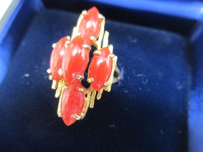 珊瑚について【会津若松店】