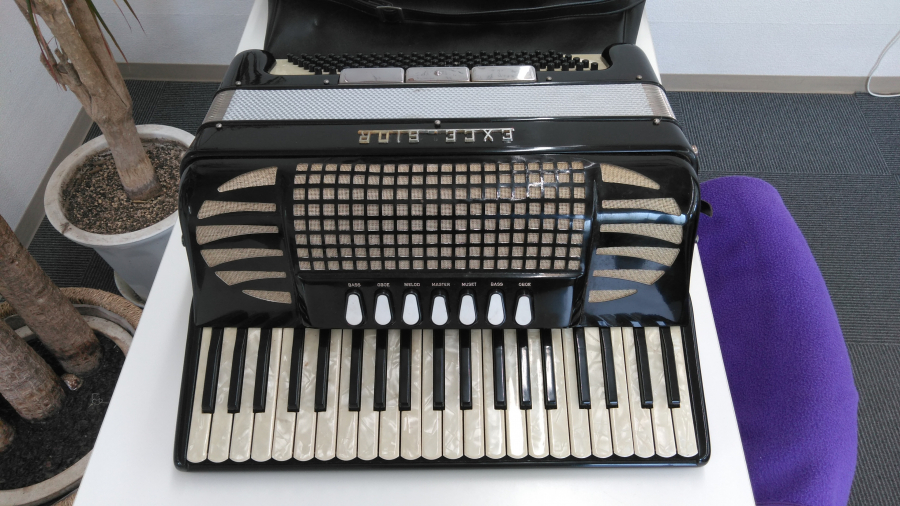 エキセルシャー/アコーディオン　買取実績　【東仙台店/宮城県/仙台市宮城野区】