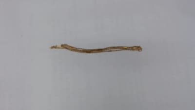 18金　ネックレス　【苫小牧店】 北海道苫小牧にあるザ・ゴールド 苫小牧店の画像1