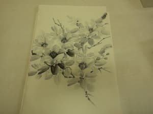 帯【新川店】 北海道札幌市にあるザ・ゴールド 新川店の画像1